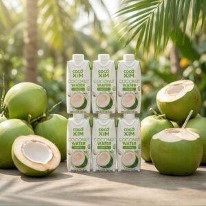 Coconut Water – Natural & Refreshing Hydration Drink